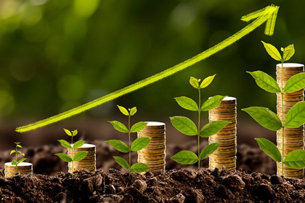 Money growing in soil , Business success concept.